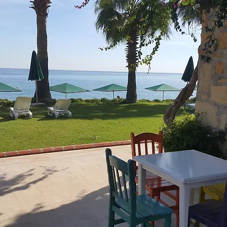 Seagull 4* Бельдиби