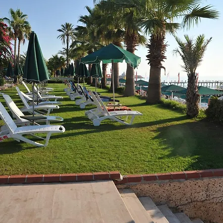 Seagull Отель 4*