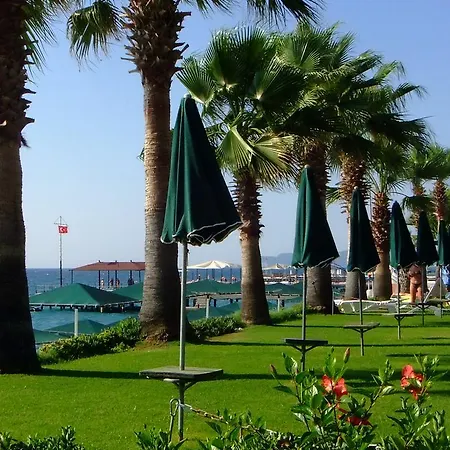 Seagull 4* Бельдиби